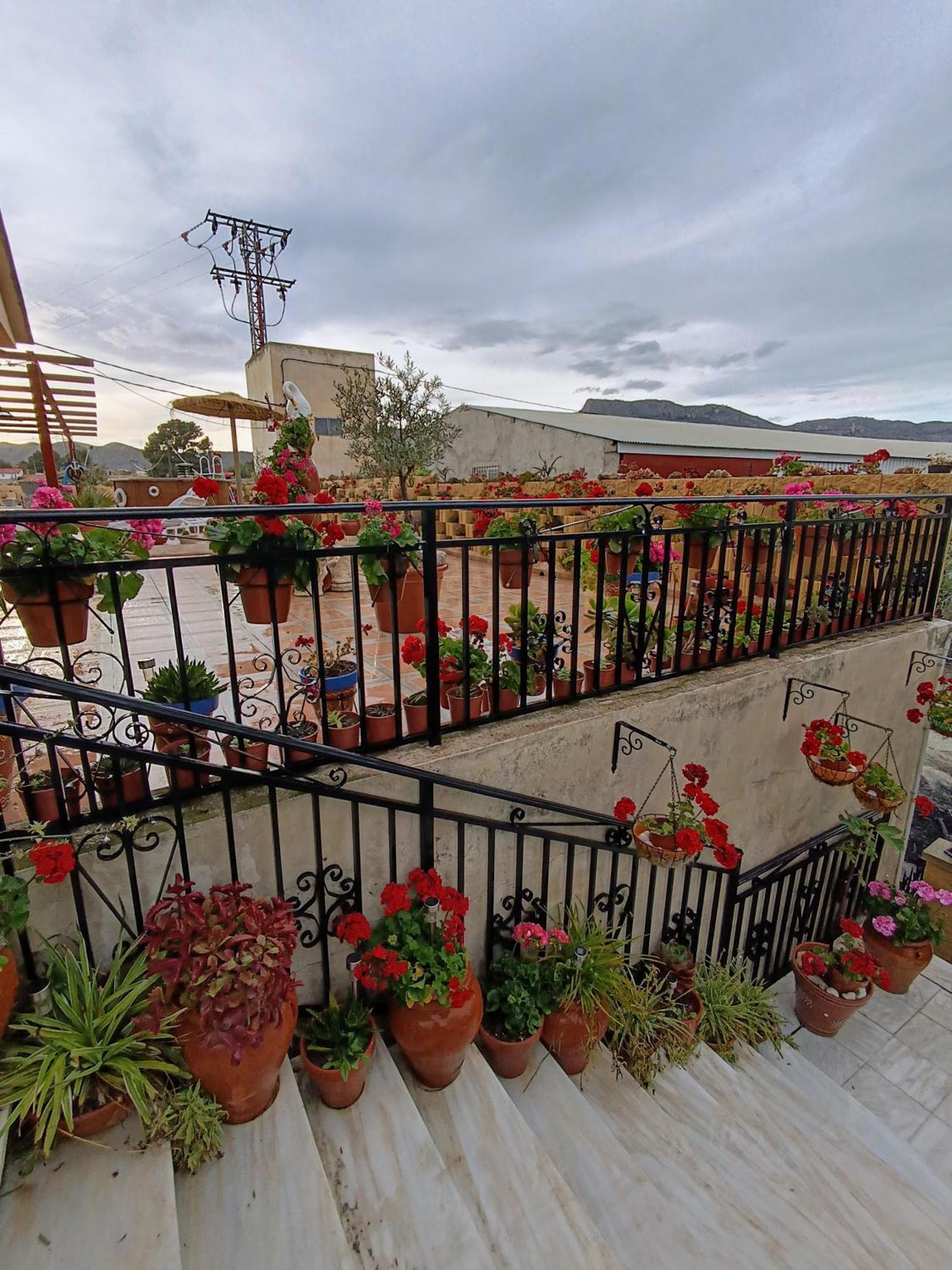 Casa Chalet Venta Ruizo Lorca  Dış mekan fotoğraf