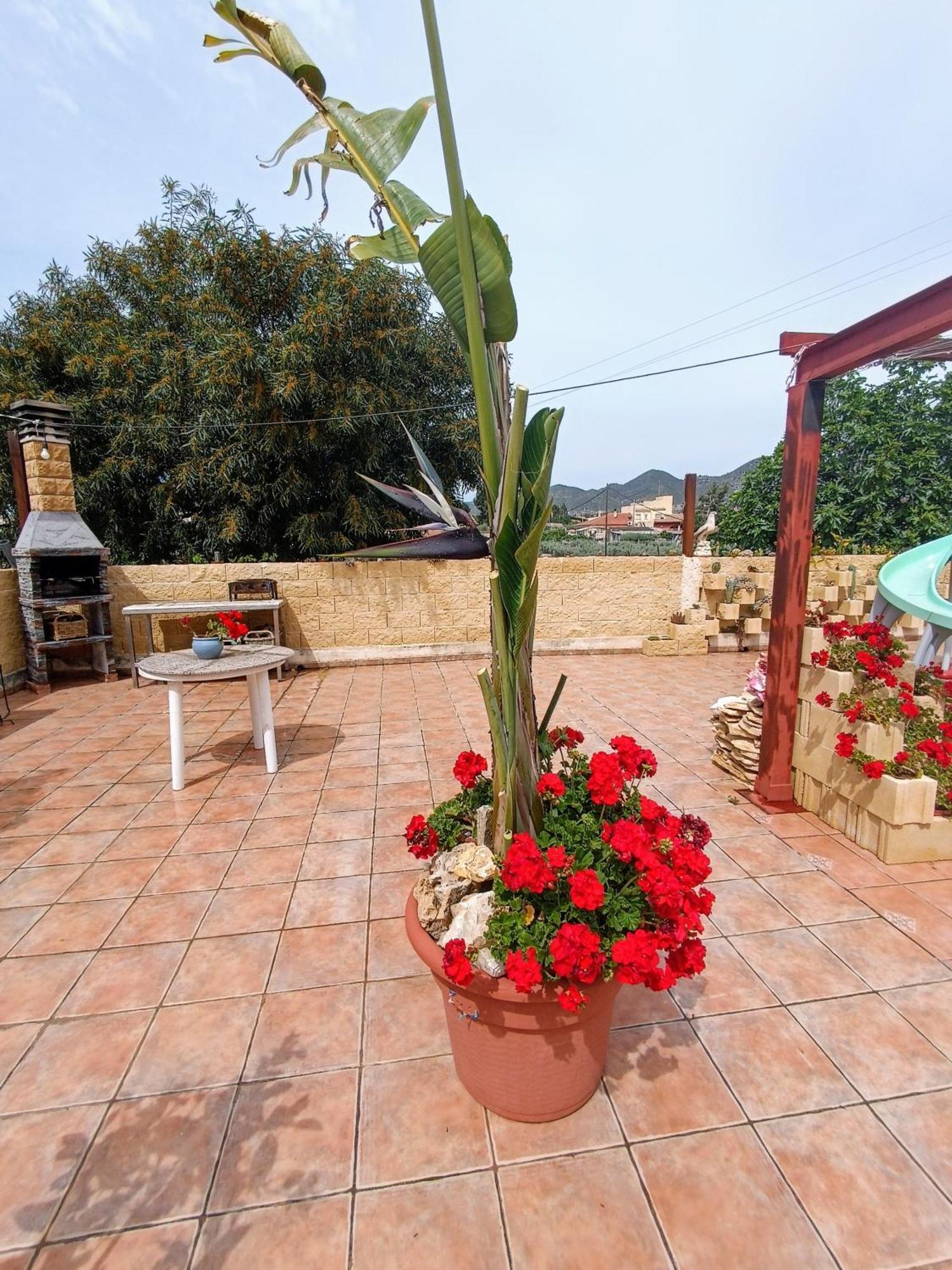 Casa Chalet Venta Ruizo Lorca  Dış mekan fotoğraf