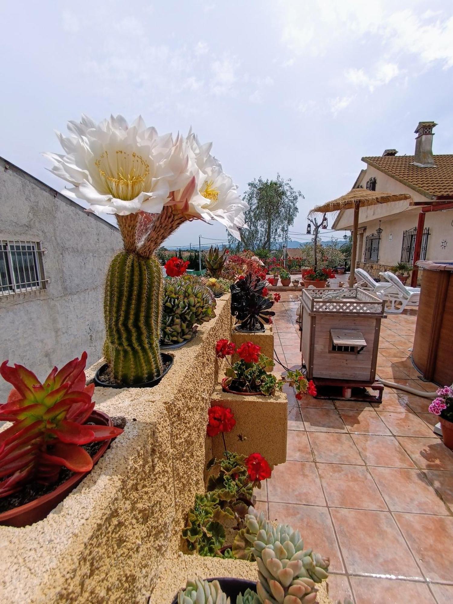 Casa Chalet Venta Ruizo Lorca  Dış mekan fotoğraf